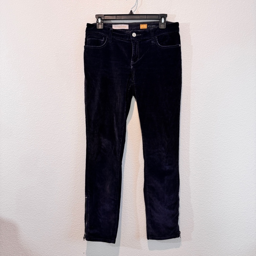 Velvet Corduroy Dark Academia Skinny Ankle Zip “Stet” Pilcro Anthropologie 28